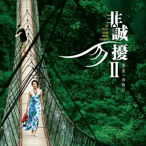 非诚勿扰电影背景音乐,非诚勿扰音乐旋律下的情感之旅